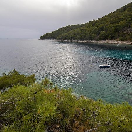 Secluded Fisherman'S Cottage Cove Skozanje, Hvar - 4009 Gdinj المظهر الخارجي الصورة